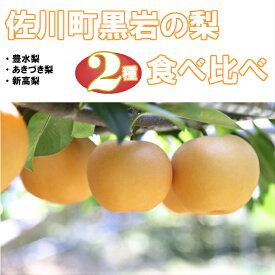 【ふるさと納税】佐川の梨 2種 にいたか あきづき 食べ比べセット 定期便【期間・数量限定】リレーでお届け 高知県 佐川町 黒岩【秋月／9月中旬頃より発送・新高梨／10月頃より発送】2024年秋発送分 旬の時期にお届けします