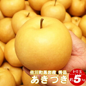 yӂ邳Ɣ[Łz2025N9{蔭\聄yÂi5kg^8`12ʁjz  Mtg Gi 퉷  Ht[c hV̓ {