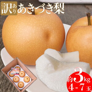 yӂ邳Ɣ[Łz2026N9{`10{딭\聄󂠂 KiO Â 3kg(4`7)st\ ƒp p ό`  LY TCY iV t[c O 퉷  