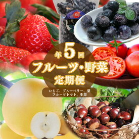 【ふるさと納税】＜佐川のフルーツ・野菜 定期便（全5回）＞高知県 佐川町 いちご 冷凍ブルーベリー フルーツトマト 梨 夢甘栗 生栗 果物 トマトハウスナカムラ ゆめのか 新高梨 くり蔵 fruit 旬の時期