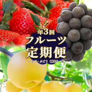 yӂ邳Ɣ[Łzt[c ցiS3j  Ԃǂ   fruit   { ʕ  m 쒬Yy①zy퉷z