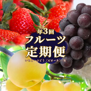 yӂ邳Ɣ[Łzt[c ցiS3j  sI[l Ԃǂ  fruit   { ʕ  m 쒬Yy①zy퉷z