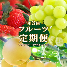 【ふるさと納税】＜フルーツ 定期便（全3回）＞ いちご シャインマスカット ぶどう 梨 fruit 苺 おすすめ 旬 果物 くだもの 高知県 佐川町産【冷蔵】【常温】