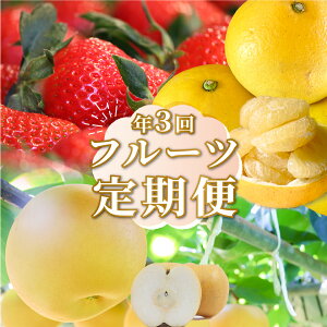 yӂ邳Ɣ[Łzt[c ցiS3j  yU  fruit   tbV { ʕ  m 쒬Yy퉷zy①z