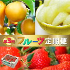＜フルーツ 定期便（全3回）＞ いちご 土佐文旦 梨 fruit 苺 おすすめ フレッシュ 旬 果物 くだもの 高知県 佐川町産【常温】【冷蔵】