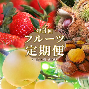 yӂ邳Ɣ[Łzt[c ցiS3j   ĂI fruit   { ʕ  m 쒬Yy①zy퉷zyⓀz