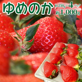 【ふるさと納税】＜ゆめのか 250g×4パック 合計1kg＞ いちご 苺 果物 フルーツ 果実 贈答用 ギフト 旬 イチゴ ストロベリー 【冷蔵】高知県 佐川町 JA ＜2027年1月～3月上旬頃発送（予定）＞