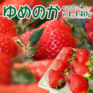 yӂ邳Ɣ[Łz߂̂ 285g×4pbN v1,140g   ʕ t[c ʎ p Mtg { C`S Xgx[ y①zm 쒬 JA 2025N12`2{i\j