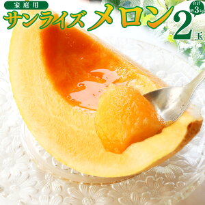 yӂ邳Ɣ[Łzst 2 v3kg TCY ԓ ߂  ʕ t[c ʎ ƒp { Ɩ󂠂y퉷zm 쒬 ͂̓X 2026N7{`8