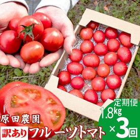 【ふるさと納税】訳あり 3回 定期便 フルーツトマト 原田農園【12月下旬～5月頃発送】＜1.8kg 箱入＞ 桃太郎【常温】送料無料 家庭用 ワケあり 変形 キズあり 高知県　＜2025年12月下旬頃より順次発送＞