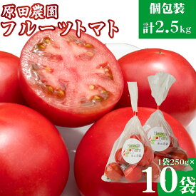 【ふるさと納税】【12月下旬～5月頃発送】＜秀品 A品 フルーツトマト 原田農園 約2.5kg 個包装 1袋250g×10袋＞桃太郎 【常温】送料無料 高知県 佐川町　＜2025年12月下旬頃より順次発送＞