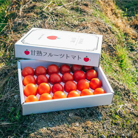 【ふるさと納税】【 12月下旬～5月頃発送 】＜フルーツトマト 原田農園 約1,800g 大箱＞桃太郎 当期分は毎年4月上旬頃まで申込受付【常温】送料無料　＜2025年12月下旬頃より順次発送＞