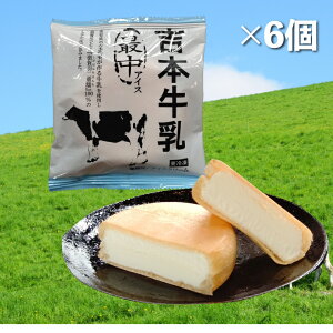 yӂ邳Ɣ[Łzg{ Œ ACX 70ml×6 n ACXiJ yⓀzm 쒬 mACX g{ Hd Ďgp