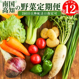 【ふるさと納税】年12回発送！＜南国高知から直送！旬の季節のお野菜定期便（7～9品）＞毎月お届け 野菜セット 野菜便 詰め合わせ 【冷蔵】【常温】 旬の時期にお届け 2回目以降、着日時間指定可能 こうち育ち 佐川町