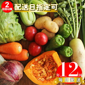 【ふるさと納税】年12回発送！＜南国高知から直送！旬の季節のお野菜定期便（7～10品）＞毎月お届け 野菜セット　野菜便 詰め合わせ 【冷蔵】 旬の時期にお届け 2回目以降、着日時間指定可能 こうち育ち 佐川町