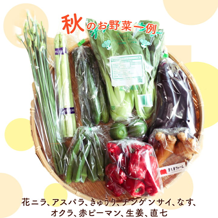 楽天市場】【ふるさと納税】年12回発送！＜南国高知から直送！旬の季節 