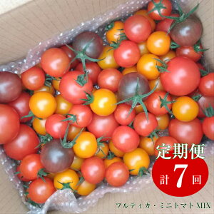 訳あり トマト トマトの人気商品 通販 価格比較 価格 Com