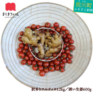 yӂ邳Ɣ[Łzg}gƈ͂ĨZbg 󂠂EKiOiig}g1.2kg+I600gj y퉷z  mY 傤 VEK WW[ Ƃ܂  ܂܃t@[ AC