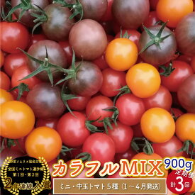 【ふるさと納税】カラフルトマト 5種 MIX フルティカ ＜約900g×3回 定期便 ＞ミニトマト ましまファーム フルーツトマト 【常温】送料無料 高知県 第1回全国ミニトマト選手権入賞 アイメック【1月～4月頃発送】＜2026年1月頃より順次発送＞