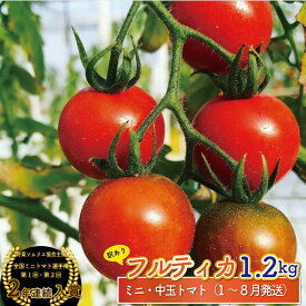 【ふるさと納税】フルティカ トマト＜約1.2kg＞ ミニトマト フルーツトマト 発送月が選べる 送料無料 訳あり ワケあり 規格外品 アイメック ましまファーム 【常温】 高知県 佐川町 全国ミニトマト選手権 野菜ソムリエ 銅賞 2年連続入賞農園 ＜2025年12月～2026年8月頃発送＞