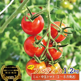【ふるさと納税】フルティカ トマト＜約1.2kg＞ ミニトマト フルーツトマト 発送月が選べる 送料無料 訳あり ワケあり 規格外品 アイメック ましまファーム 【常温】 高知県 佐川町 全国ミニトマト選手権 野菜ソムリエ 銅賞 2年連続入賞農園 ＜2025年12月～2026年8月頃発送＞