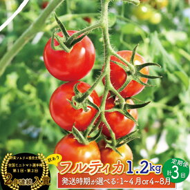 【ふるさと納税】フルティカトマト ＜約1.2kg×3回 定期便 訳あり 発送時期が選べる＞【常温】フルーツトマト 送料無料 規格外品 アイメック 第1回全国ミニトマト選手権入賞 高知県 ましまファーム 【1月～4月/4月～8月頃発送】＜2027年順次発送＞ *予約受付中*