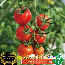 【ふるさと納税】フルティカ トマト ミニトマト ＜約1.2kg×7回 定期便 ＞訳あり 規格外 第1回 第2回連続 全国ミニトマト選手権 入賞 銅賞 高知県 ましまファーム フルーツトマト 【常温】送料無料 アイメック 【1月～8月頃発送】＊予約受付中＊ ＜2026年1月から順次発送＞