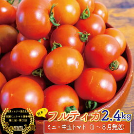 【ふるさと納税】フルティカ トマト ミニトマト フルーツトマト ＜約2.4kg＞【常温】 ワケあり キズあり 規格外品 大容量 自宅用 発送月が選べるアイメック ましまファーム 送料無料 第2回 全国ミニトマト選手権 銅賞 2年連続入賞農園＜2025年12月～2026年8月頃発送＞