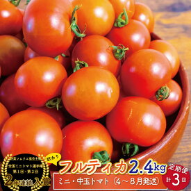 【ふるさと納税】フルティカトマト＜約2.4kg×3回 定期便 訳あり ＞ ミニトマト フルーツトマト 【常温】 送料無料 ワケあり キズあり 規格外品 大容量 自宅用 家庭用 高知県 ましまファーム アイメック 野菜ソムリエ協会 【 4月頃～8月頃発送】＜2026年4月頃より順次発送＞