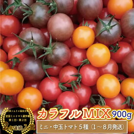 【ふるさと納税】カラフル トマト 5種 ミックス＜約900g＞ミニトマト フルーツトマト フルティカなど＞アイメック ましまファーム 発送月が選べる 【常温】送料無料 MIX 高知県 佐川町 野菜ソムリエ 全国ミニトマト選手権 銅賞 2年連続入賞　＜2026年1月～8月頃発送＞