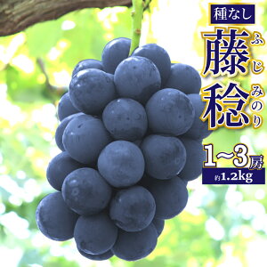 yӂ邳Ɣ[Łzs\񁃓 1.2kgi1`3[j Ԃǂ grape fruit ݂̂ tbV { ʕ  m 쒬Yy①z2026N8{ȍ~ɔ