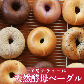 【ふるさと納税】＜『工房ナチュール』の天然酵母ベーグルセット 12個 内容お任せ ＞ナチュールベーグル セット 無添加 自家製酵母 小麦 プレーン クリームチーズ あずき 高知県 佐川町 【冷凍】 2026年発送分　**数量限定受付**