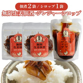 【ふるさと納税】＜佃煮2袋・シロップ1個＞農家の嫁の生姜佃煮1袋70g ジンジャーシロップ200ml クラフトジンジャー 希釈 ごはんのお供（A） ginger 農奥 高知 詰め合わせ【常温】らんまん 牧野富太郎