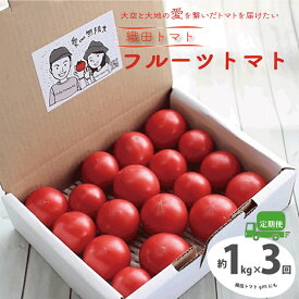 【ふるさと納税】＜フルーツトマト 定期便 織田トマト 約1kg ×3回 計3kg 真っ赤なフルーツ太陽＞高知県 佐川町 サイズ混合 ＜毎年2月末頃まで申込受付＞【1月頃～5月頃の間に3回お届け】＜＜2026年発送＞＞