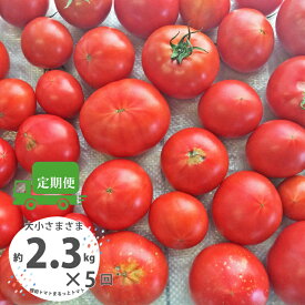 【ふるさと納税】＜【訳あり】トマト定期便 約2.3kg×5回（計11.5kg） 織田トマト 高知 ワケあり サイズ 違い 混合 キズあり 大小 まるっとトマト＞高知県 佐川町 5月末までに5回 サイズ混合 ＊予約受付中＊ ＜2027年1月頃～5月頃発送予定＞