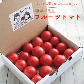 【ふるさと納税】＜フルーツトマト 織田トマト 1kg（約1000g） 真っ赤なフルーツ太陽＞高知県 佐川町 細胞が喜び命が輝く大空と大地の愛を繋ぐ 贈答 ギフト　＜毎年1月頃から5月中旬頃まで発送＞＜＜2026年発送＞＞