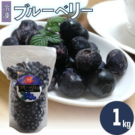【ふるさと納税】＜ブルーベリー 冷凍　1kg＞ フルーツ くだもの 高知県 佐川町 果物 島崎商事【冷凍】冷凍ブルーベリー 常備果物　＜発送まで最大で4～6ヶ月程度お待たせする事があります（申込状況により遅れる場合があります）＞