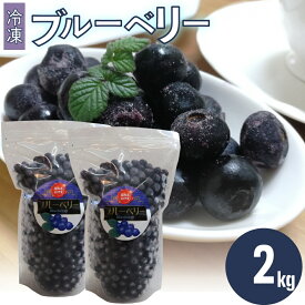 【ふるさと納税】＜ブルーベリー（冷凍） 2kg＞高知県 佐川町 果物 フルーツ 国産 【冷凍】冷凍ブルーベリー 常備果物　大容量　＜4～6ヶ月程度で発送予定（申込状況により遅れる場合があります）＞