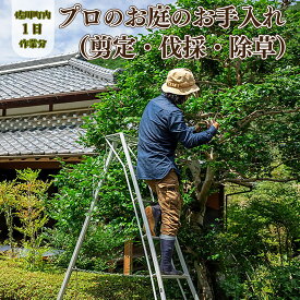 【ふるさと納税】庭づくり 剪定 除草 伐採 庭木のお手入れ 植木 創樹園 作業場は佐川町限定 管理 施工 実家が佐川町にある方におすすめ 【サービス】