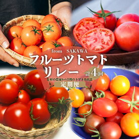 【ふるさと納税】＜フルーツトマト 定期便 4農家からリレーでお届け＞ 数量限定 カラフルトマト 計4回 高糖度トマト さかわ自慢のトマト 【常温】【冷蔵】桃太郎トマト アイコ トスカーナバイオレット オレンジ千果 フルティカ 小鈴エル アルテトマト 送料無料 産地直送