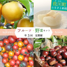 【ふるさと納税】＜佐川町産フルーツ・野菜 定期便（年3回）＞高知県 佐川町 トマト 梨 和梨 栗 夢甘栗 果物 お申込みの翌期の果物（野菜）から発送 フレッシュ 旬 生栗 ミニトマト 高糖度 フルティカ　トマトミックス　最大8月～3月までお届け