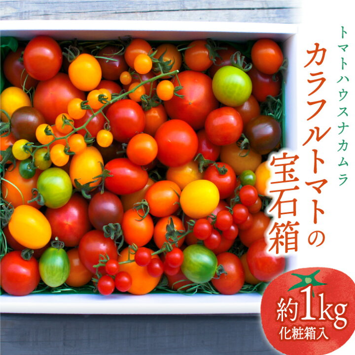 楽天市場 ふるさと納税 カラフルトマトの宝石箱 約1 0kg 1箱 ミニトマト フルーツトマト トマトの品種説明書付 高知県 佐川町 トマトハウスナカムラ 常温 栽培期間中化学農薬 化学肥料不使用 有機jas認定の有機肥料使用 高知県佐川町 楽天市場 ふるさと納税 カラフルトマトの宝石箱 約1 0kg 1箱 ミニトマト フルーツトマト トマトの品種説明書付 高知県 佐川町 トマトハウスナカムラ 常温 栽培期間中化学農薬 化学肥料不使用 有機jas認定の有機肥料使用 高知県佐川町