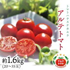 ＜アルテトマト 約1.6kg（20-35玉）×1箱 ＞ フルーツトマト 高知県 佐川町 トマトハウスナカムラ 野菜 贈答用 【常温】リピーター多数 高糖度 ギフト （1月初め頃から5月下旬頃まで発送） 栽培期間中化学農薬不使用