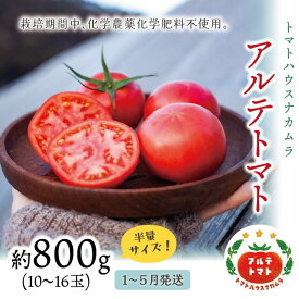 【ふるさと納税】＜アルテトマト お試し 約800g（10～16玉）×1箱＞フルーツトマト 高知県 佐川町 トマトハウスナカムラ 【常温】 栽培期間中化学農薬・化学肥料不使用