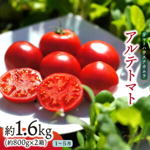 yӂ邳Ɣ[ŁzAeg}g 1.6kgi20-35ʁj t[cg}g m 쒬 g}gnEXiJ  p y퉷zs[^[ x Mtg ͔|Ԓw_sgp @
