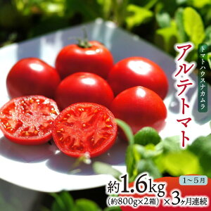 yӂ邳Ɣ[ŁzAeg}g  1.6kg×3At[cg}g v4.8kg m 쒬 g}gnEXiJ  py퉷z͔|Ԓw_Ew엿sgp 2026