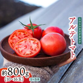 【ふるさと納税】＜アルテトマト お試し 約800g（10～16玉）×1箱＞フルーツトマト 高知県 佐川町 トマトハウスナカムラ 【常温】 栽培期間中化学農薬・化学肥料不使用　＜2026年1月～5月頃発送予定＞