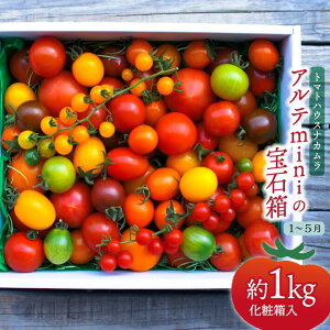 yӂ邳Ɣ[ŁzAemini̕Δ 1kg×1t[cg}g m 쒬 g}gnEXiJy퉷z͔|Ԓw_Ew엿sgp@2026N1`5\聄