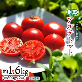 【ふるさと納税】＜アルテトマト 約1.6kg（20-35玉）＞ フルーツトマト 有機JAS 高知県 トマトハウスナカムラ 野菜 贈答用 【常温】リピーター多数 高糖度 佐川町 ギフト ＜2026年1月～5月頃発送予定＞
