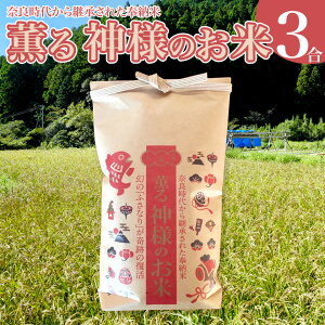 【ふるさと納税】<薫る神様のお米 奉納米 縁起米 約3合×1袋>希少米 香り米 奇跡の復活 ふさなり 栽培期間中、化学農薬化学肥料不使用 【常温】